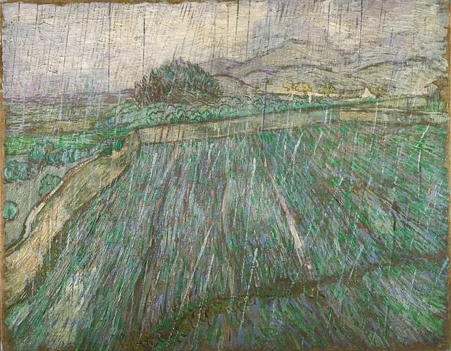 Rain