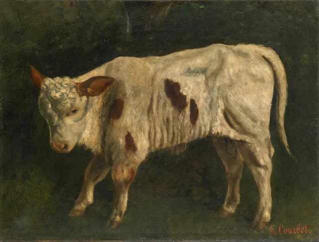 Il vitello bianco