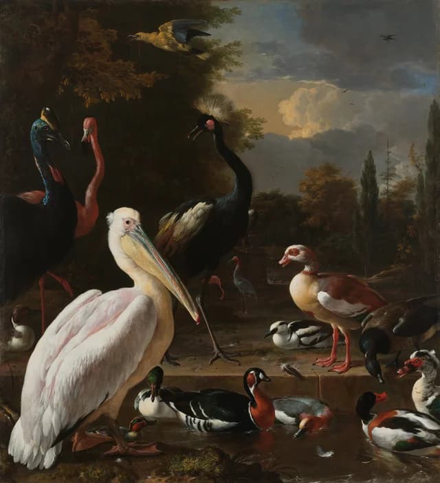 The Floating Feather