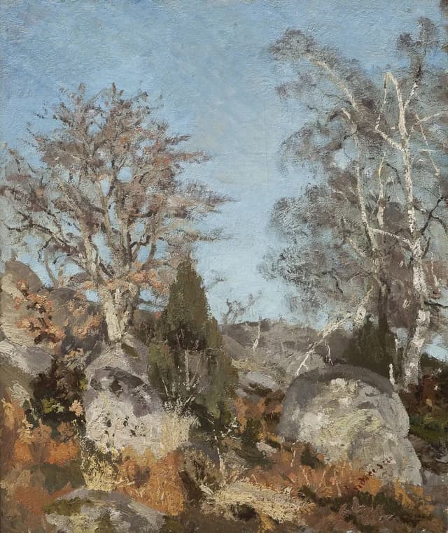 Rocks and Birch Trees