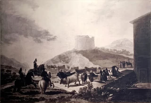 Rounding up the bulls