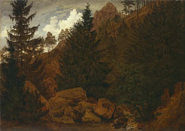 Rocks