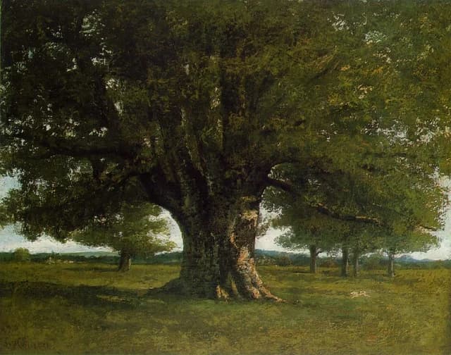 The Oak at Flagey