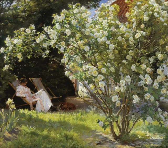 Roses