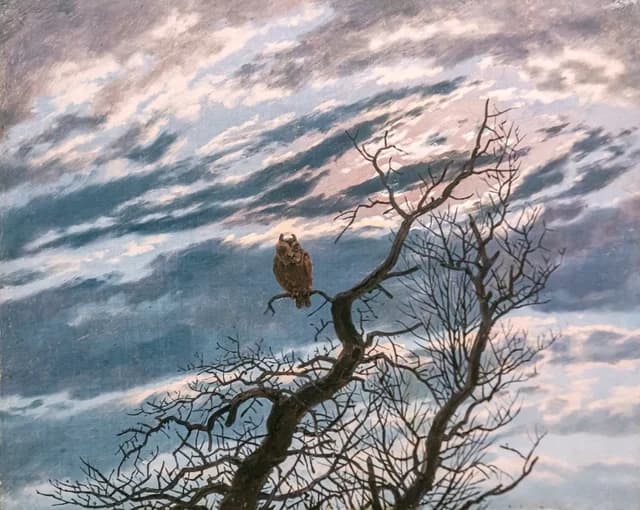 An owl on a bare tree