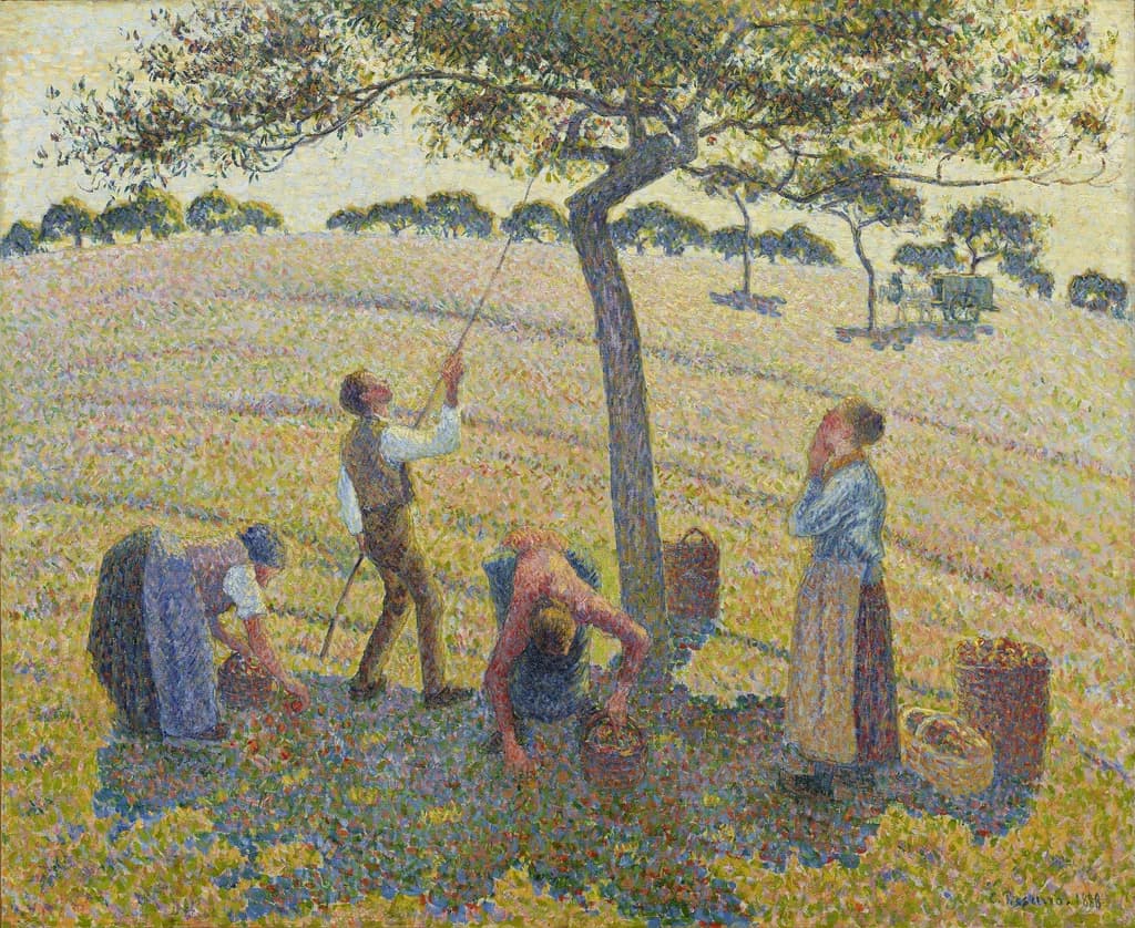 Apple Harvest
