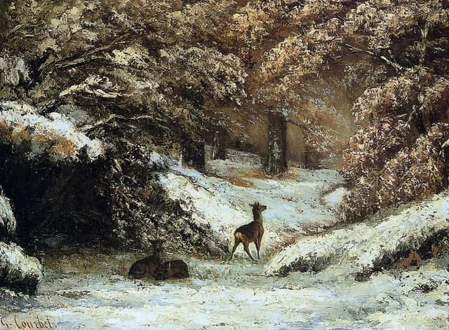 Il rifugio dei caprioli in inverno