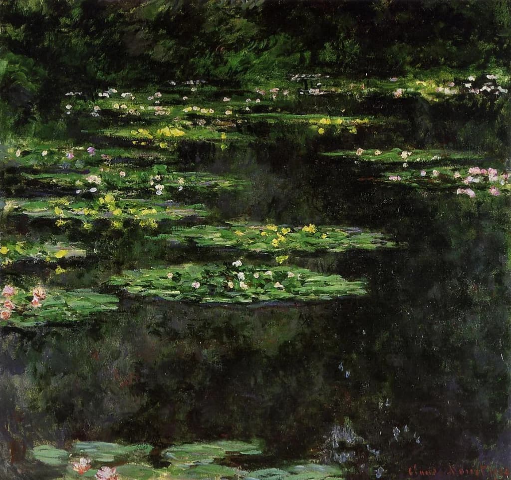 Water Lilies