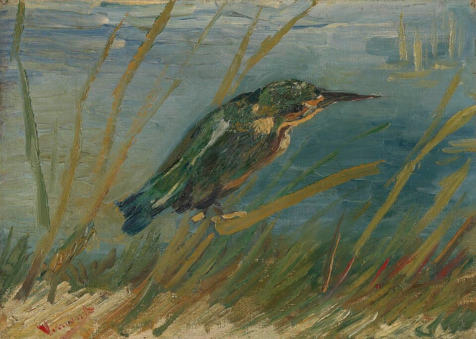 Kingfisher by the Waterside
