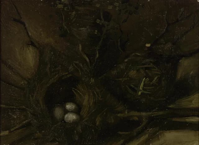 Birds' Nests