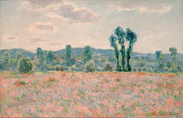 Poppy Field