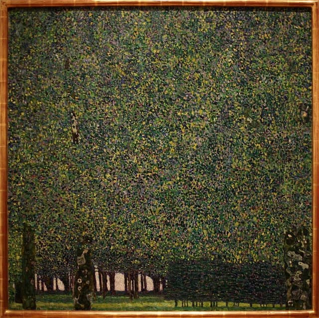 The Park