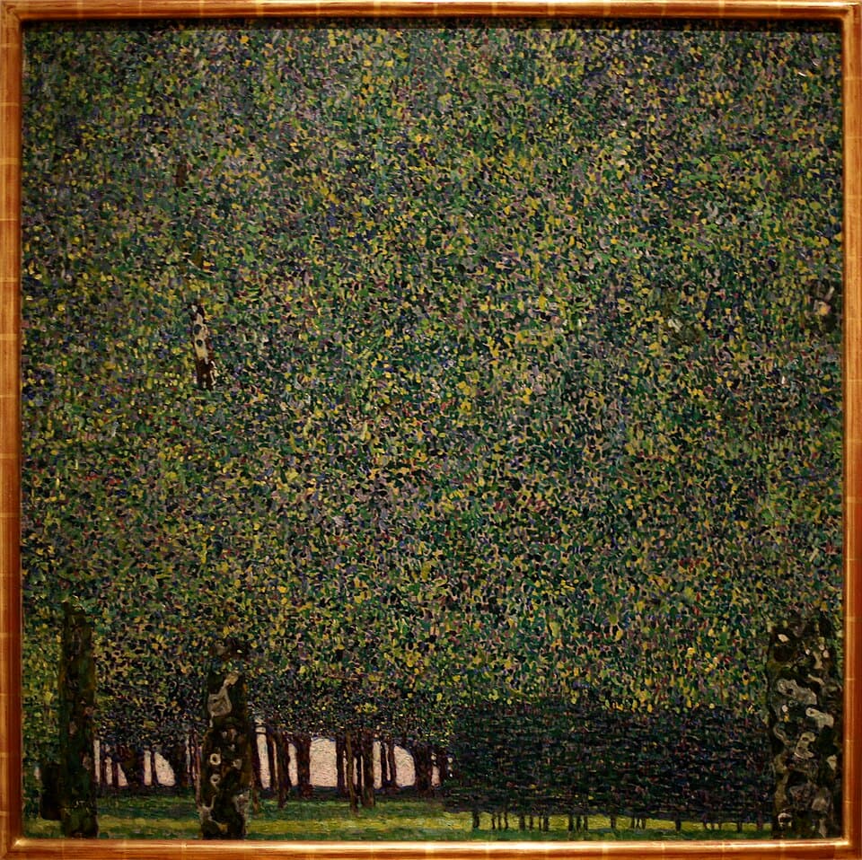 The Park
