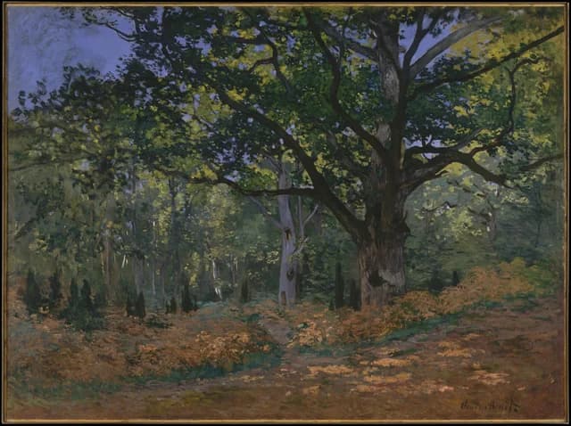 The Bodmer Oak, Fontainebleau Forest