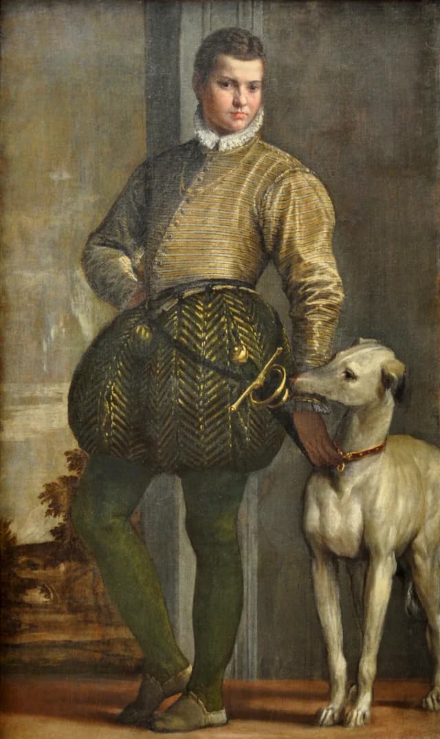 男孩与灵缇犬