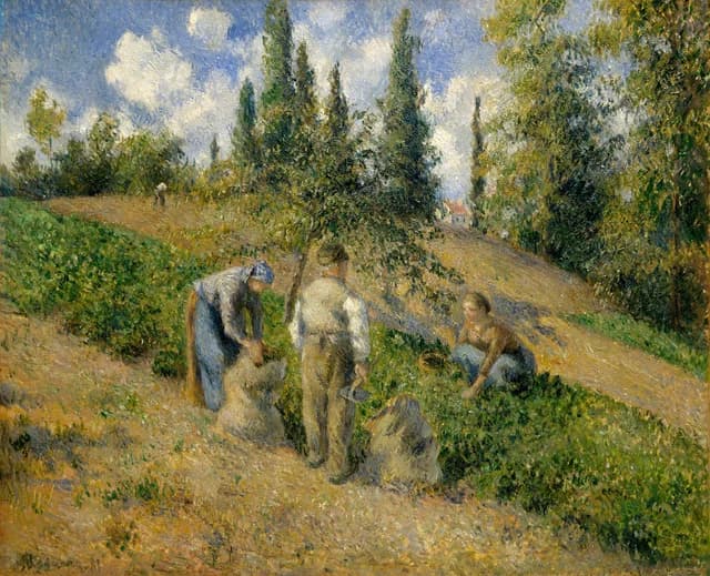 The Harvest, Pontoise (La Récolte, Pontoise)