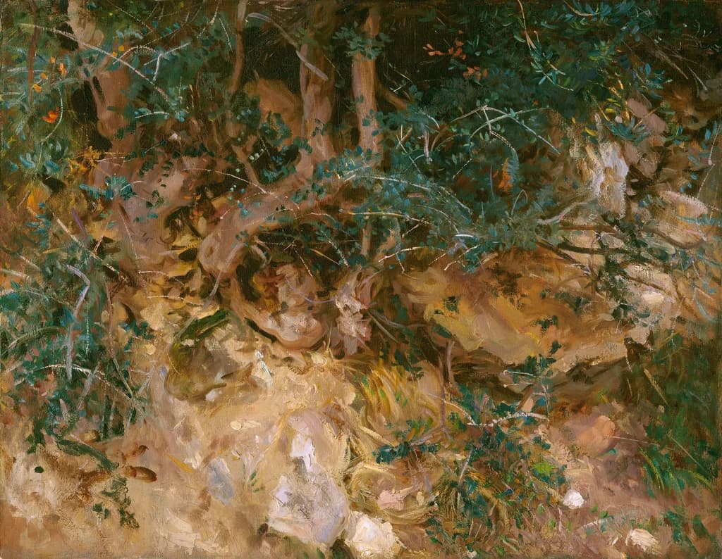 Valdemosa, Majorca: Thistles and Herbage on a Hillside