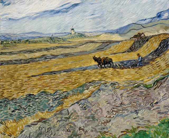 Campo cercado con labrador