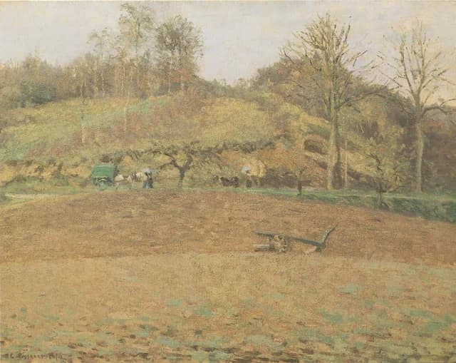 Ploughed Fields