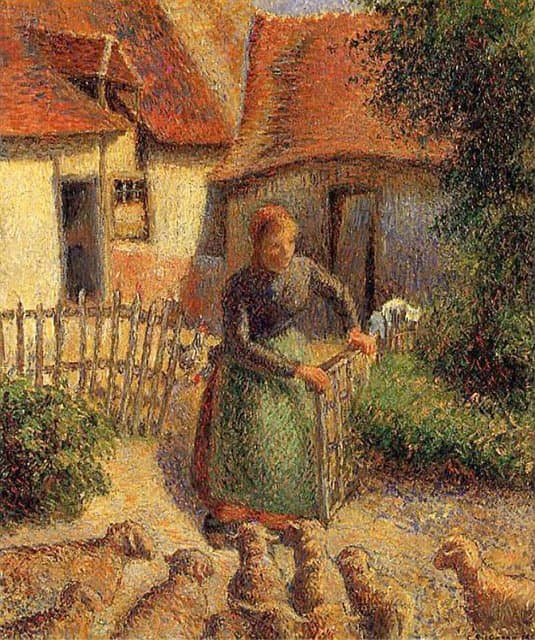 Shepherdess bringing sheep in