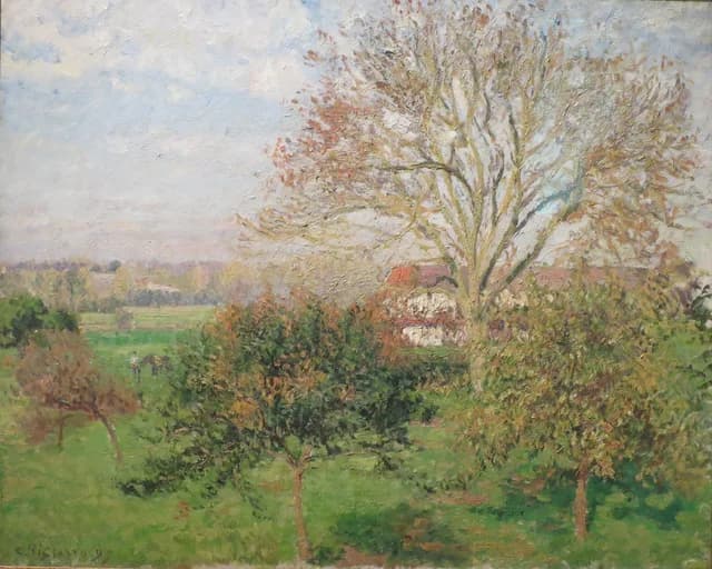 Der große Walnussbaum, Herbstmorgen, Éragny