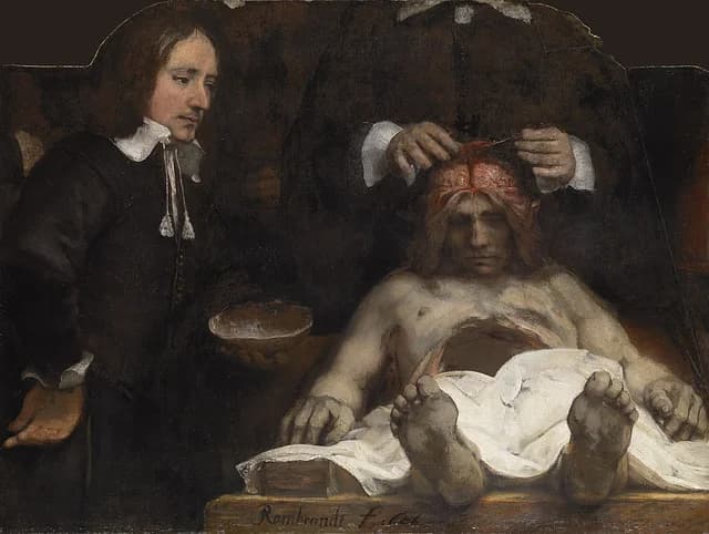 The anatomy lesson of Dr. Joan Deijman