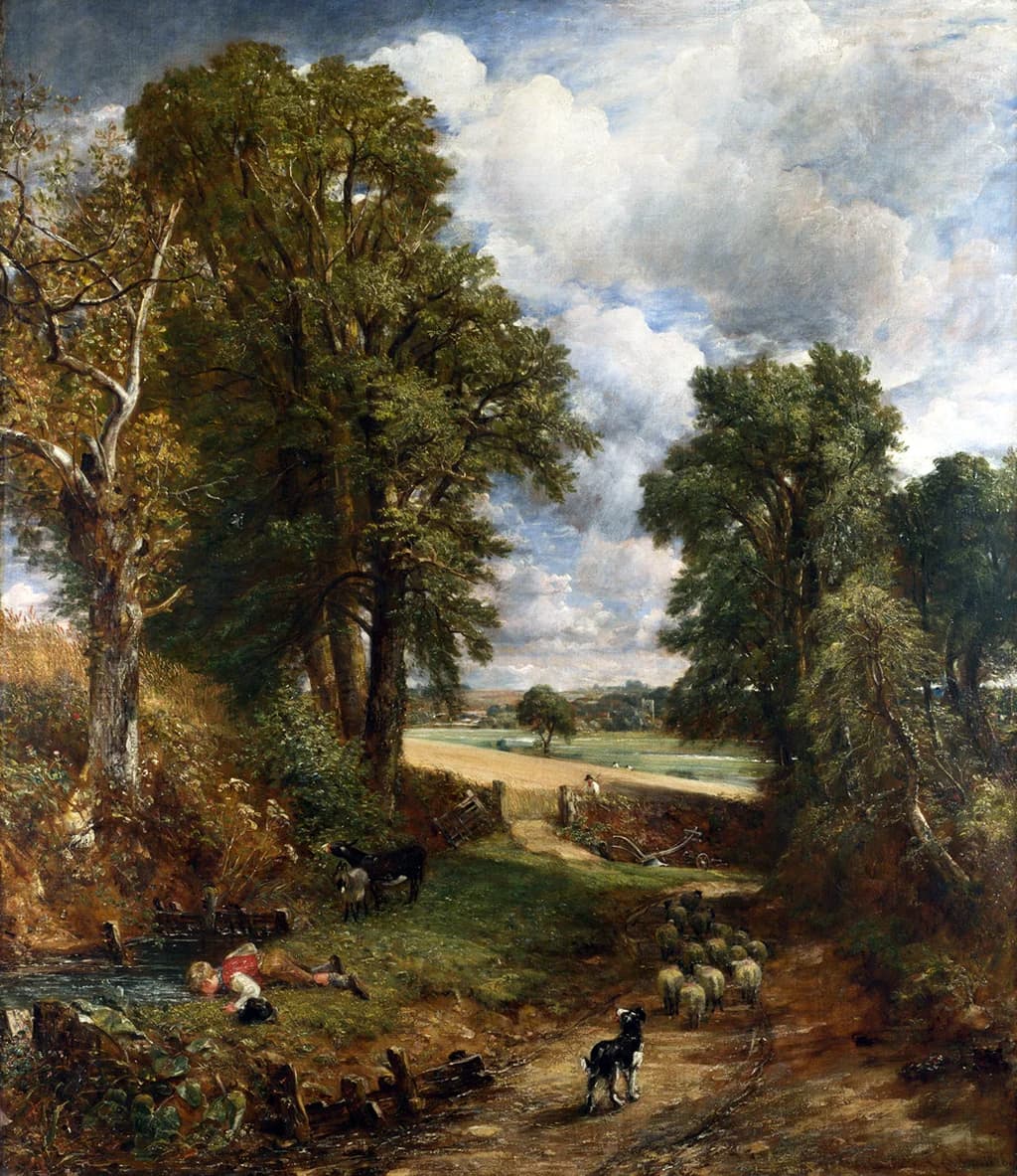 The Cornfield
