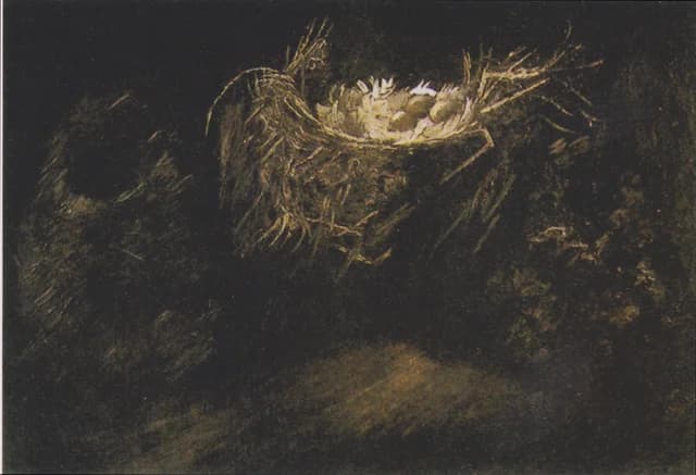 Still Life with Three Birds' Nests