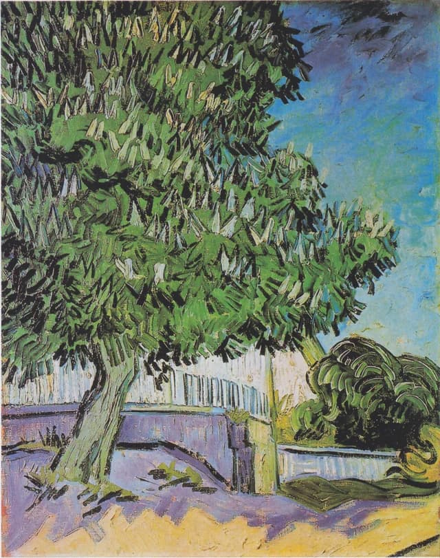 Blossoming chestnut trees