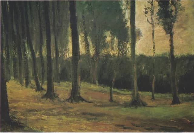 Edge of a Wood
