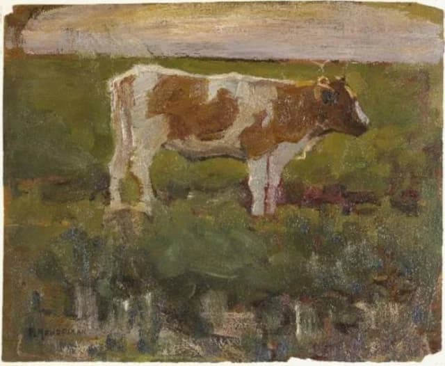 Génisse brune et blanche