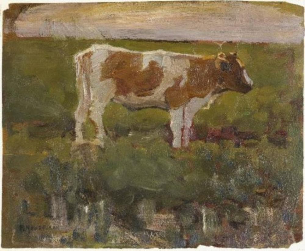 Génisse brune et blanche