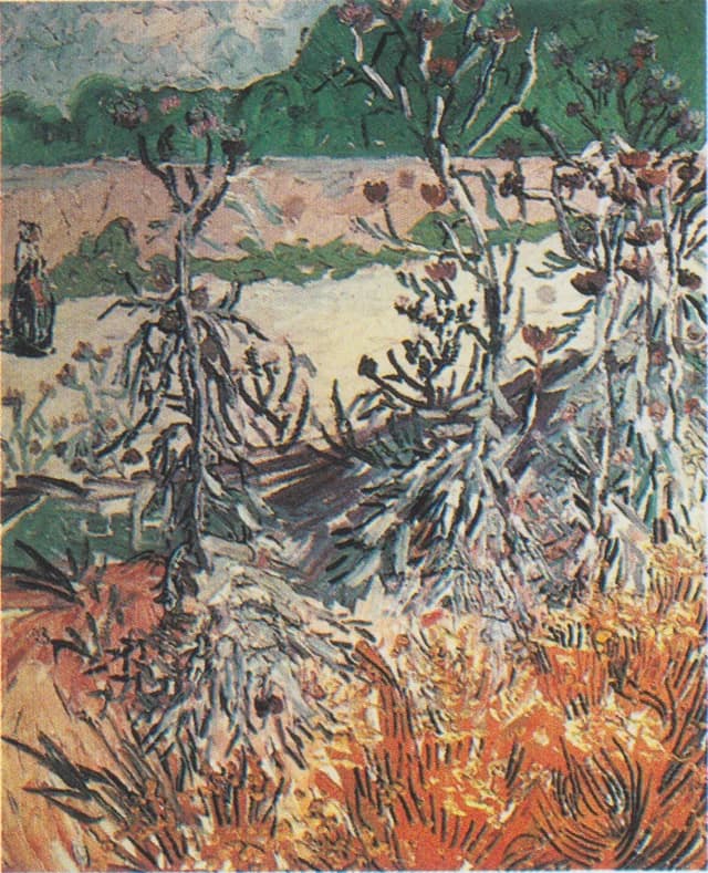 Chardons