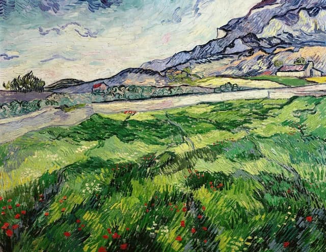 Campo de trigo verde