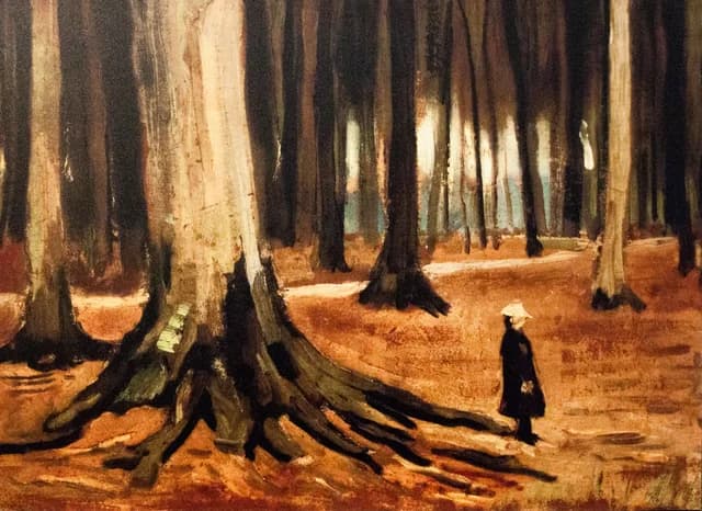 Fillette dans les bois