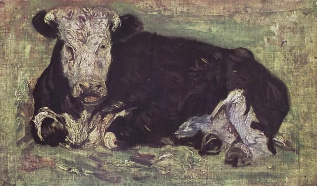 Vache couchée