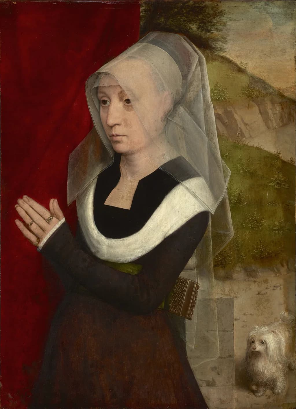 Retrato de uma doadora