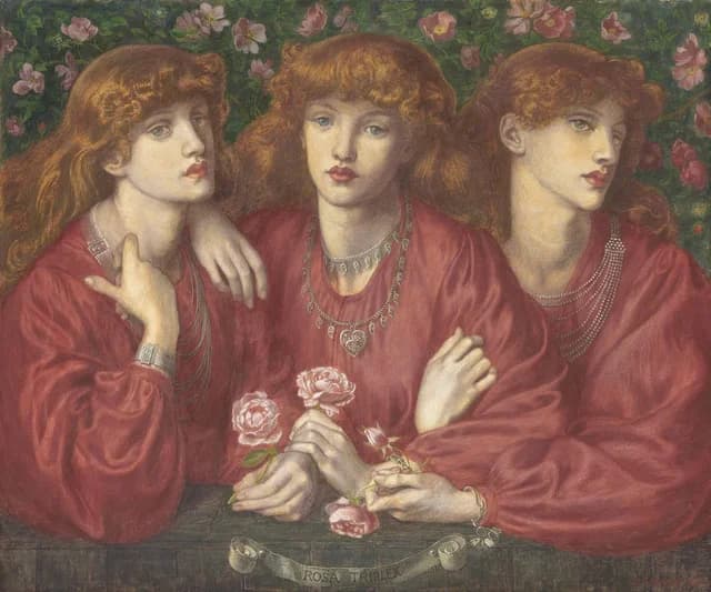 Rosa Triplex