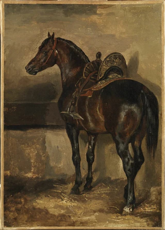 Turkish Horse in a Stable