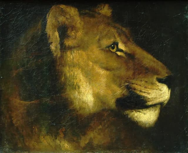Head of a lion