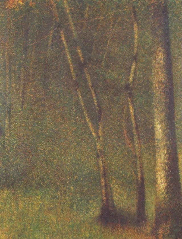Il bosco di Pontaubert