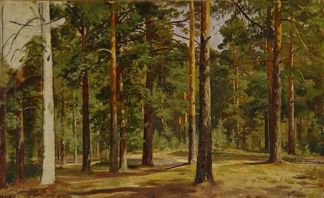 Kiefernwald. Unvollendete Skizze