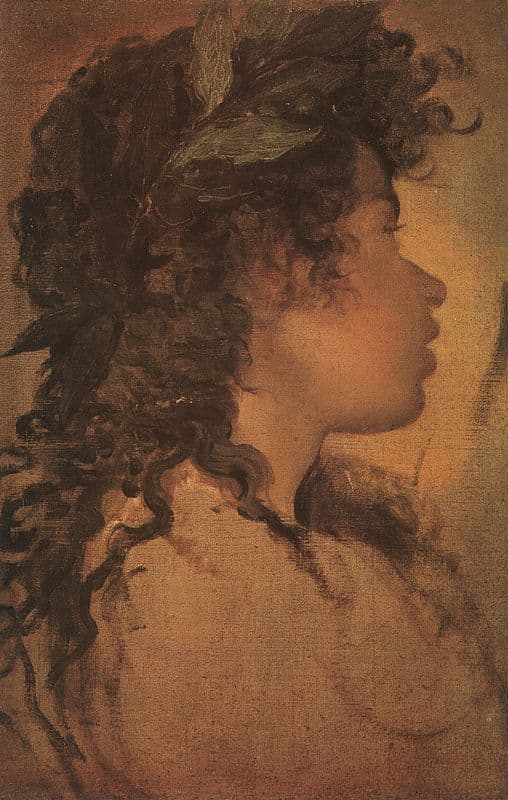 Study for the head of Apollo