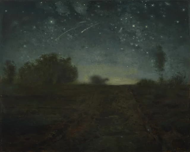 Notte stellata