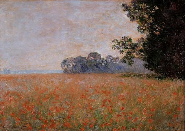 Champ d'avoine aux coquelicots