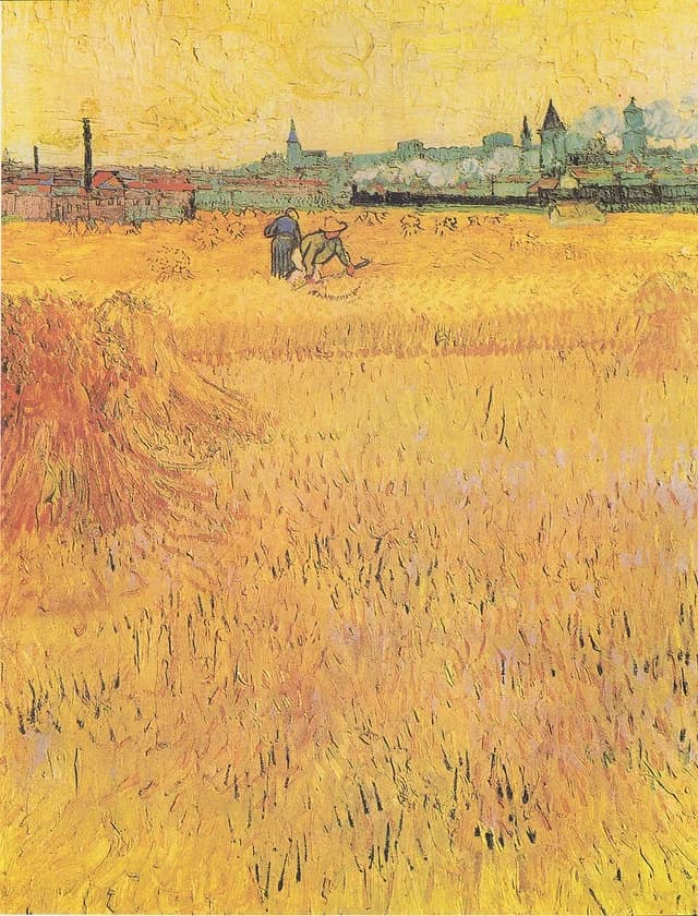 Arles: View from the Wheat Fields