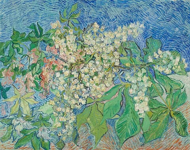 Blossoming Chestnut Branches