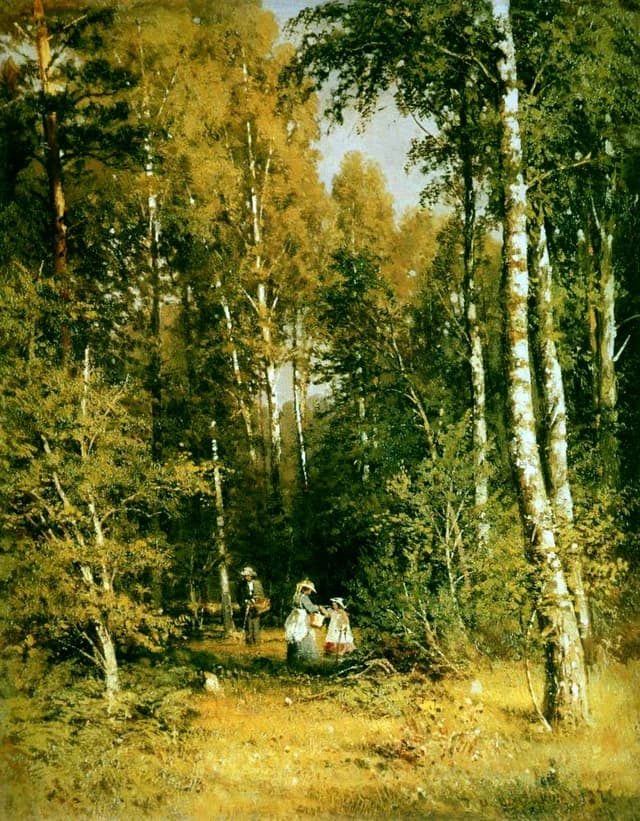 Birch grove