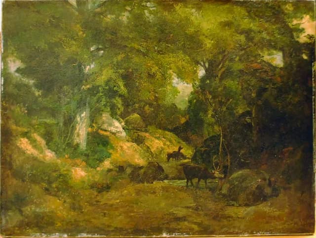 The Stag in the Forest