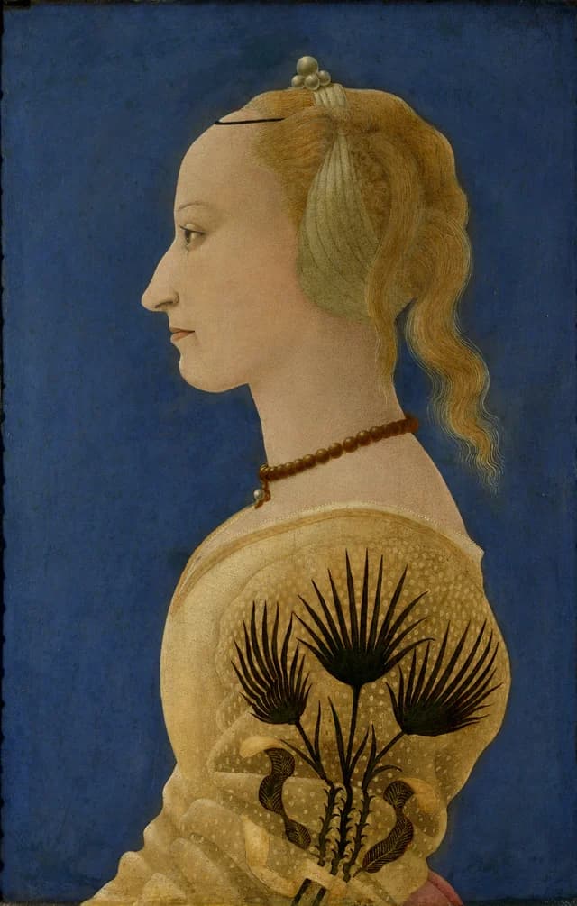 Portrait of a Lady